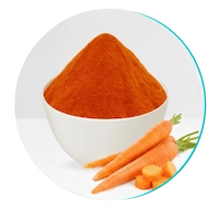 Carrot-Powder